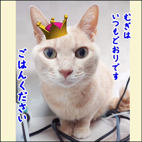 あんこ＆麦STORY2286h