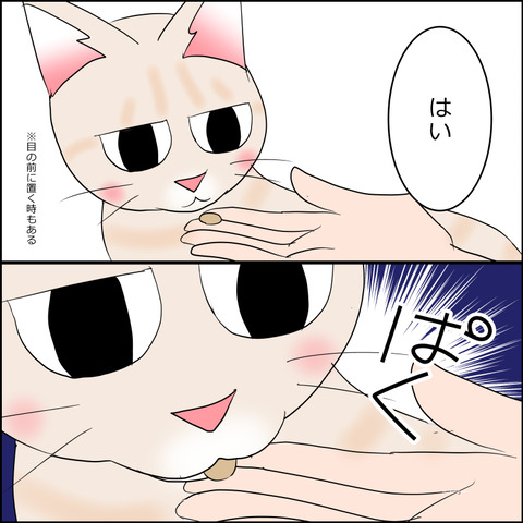 あんこ＆麦STORY2183b