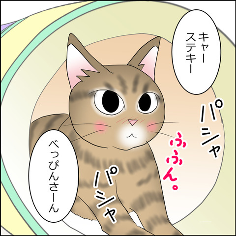 あんこ&麦STORY2329c