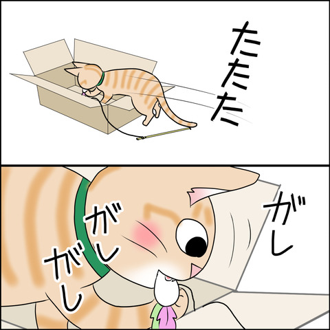 あんこ＆麦STORY1839c