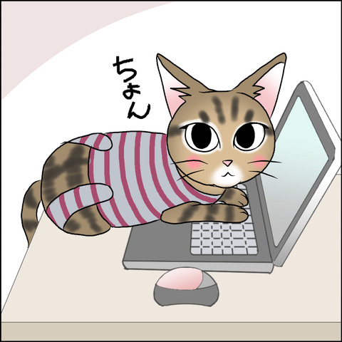 あんこ＆麦STORY1713c