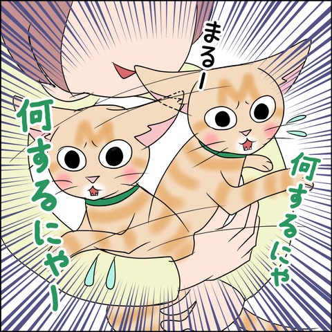 あんこ＆麦STORY1995c