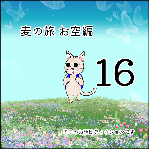 mugitabix016@
