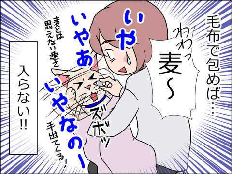 あんこ&麦STORY1531b