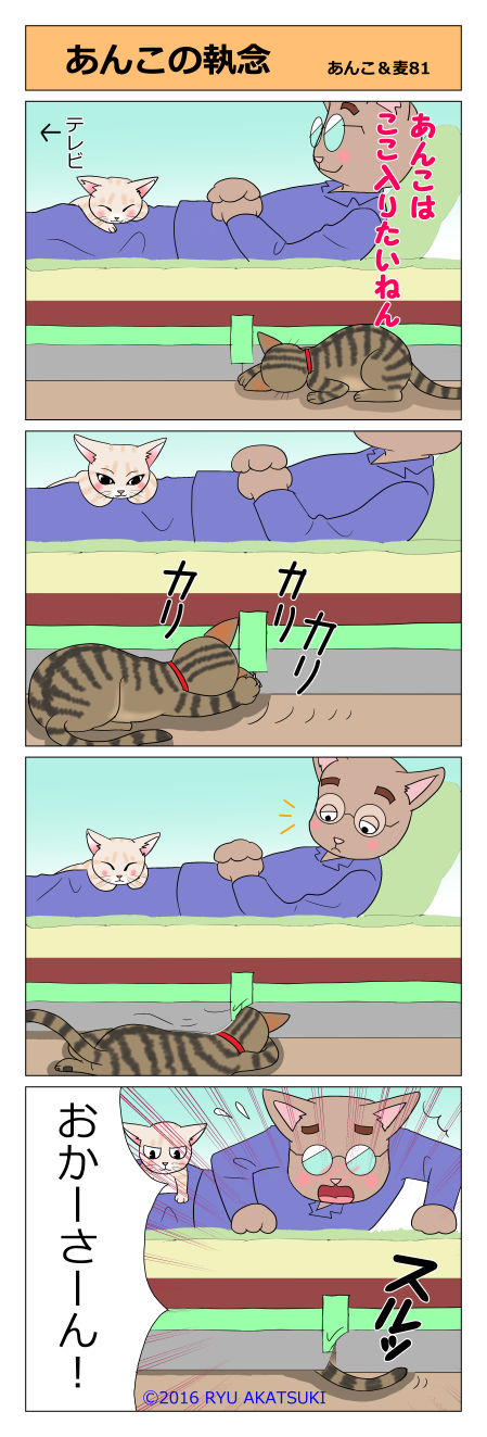 あんこ&麦STORY81