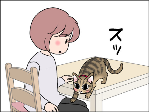 あんこ＆麦STORY1593c