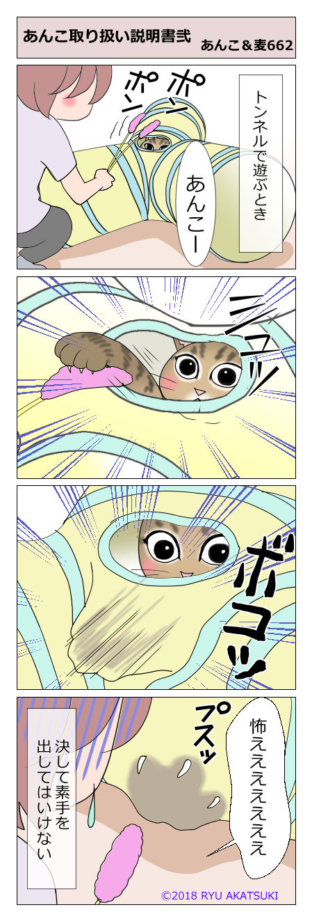 あんこ&麦STORY662
