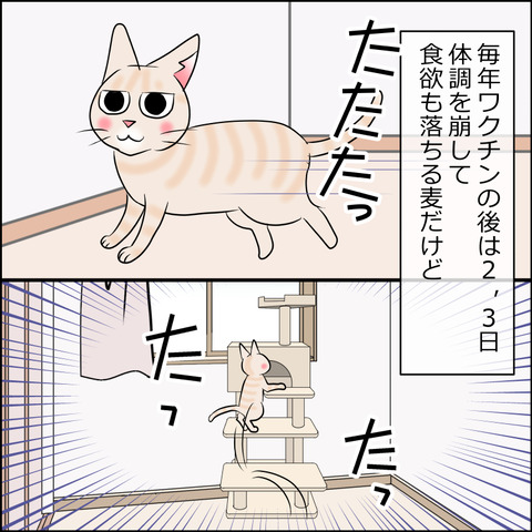 あんこ＆麦STORY2016b