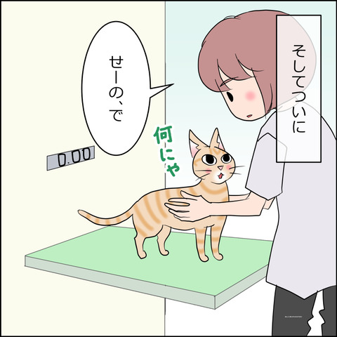 あんこ&麦kenko165b
