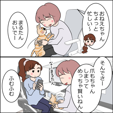 あんこ&麦STORY2373c