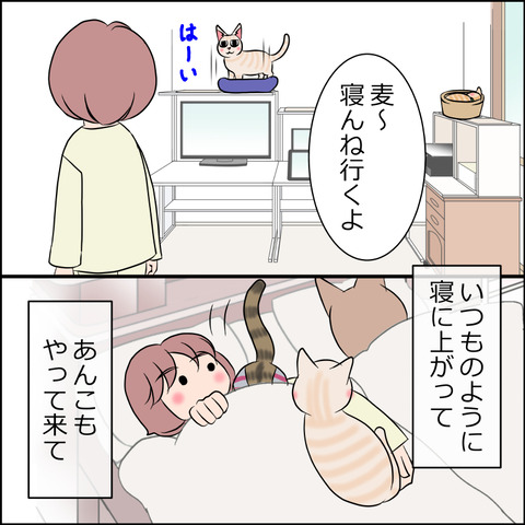 あんこ＆麦STORY1740a