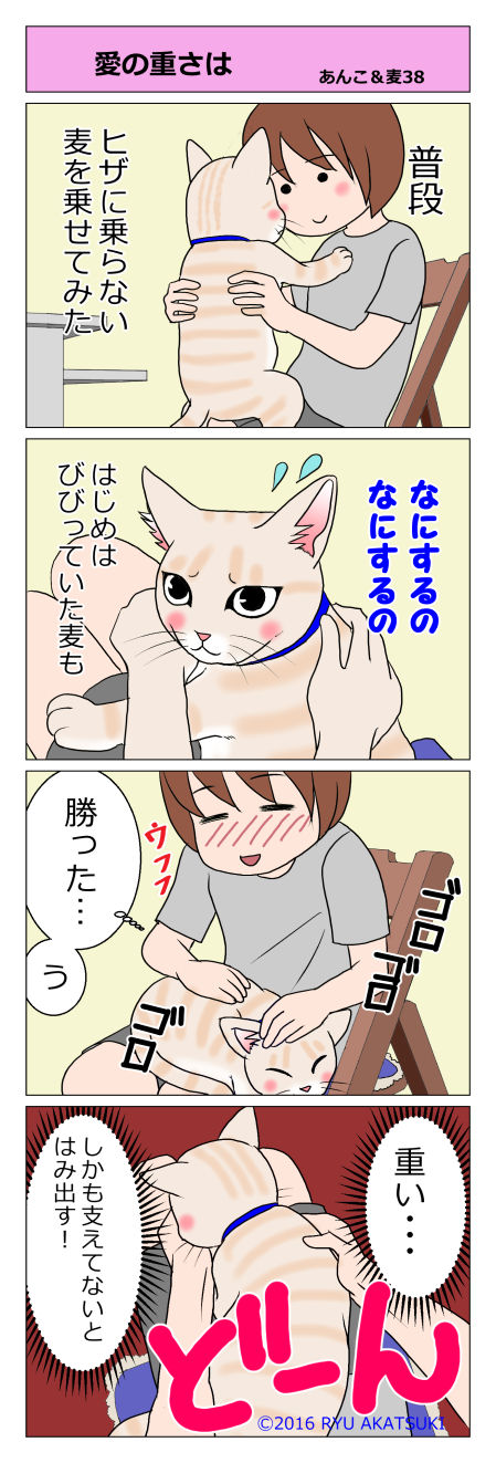 あんこ＆麦STORY38