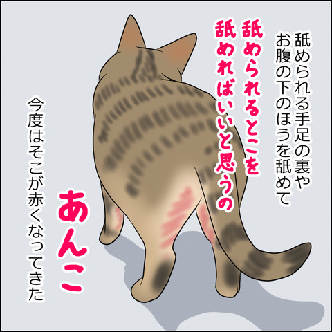 あんこ＆麦kenko70b