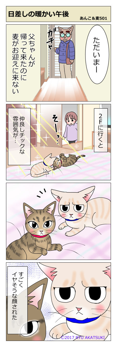 あんこ&麦STORY501