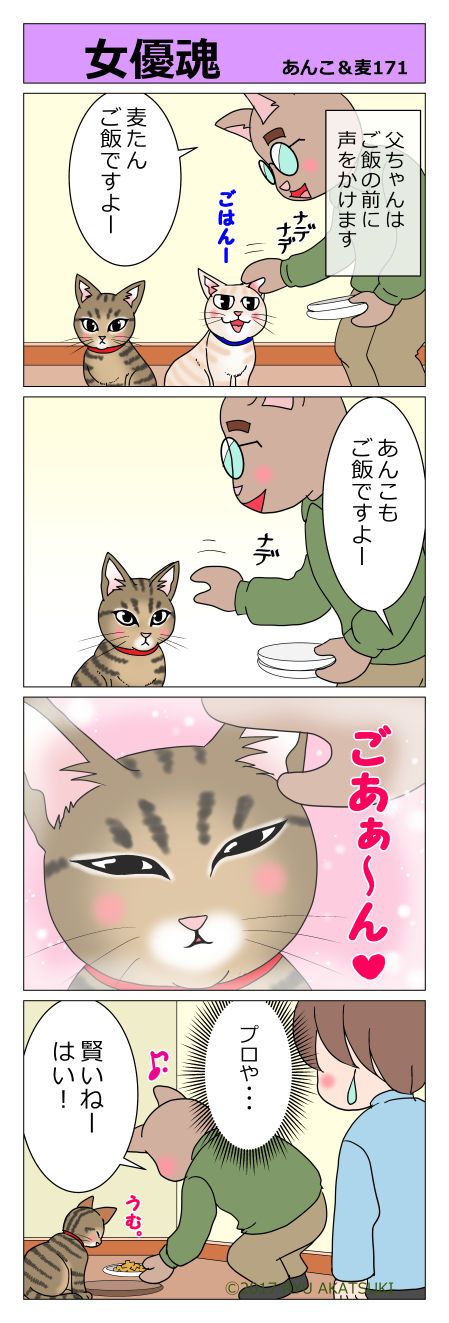 あんこ＆麦STORY171