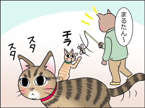 あんこ&麦STORY1572c
