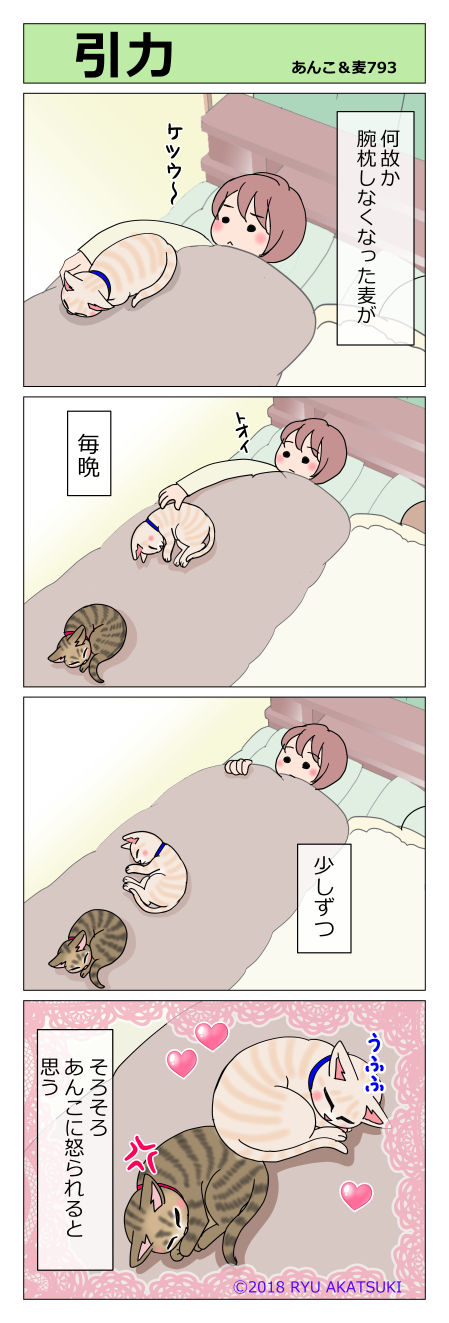 あんこ&麦STORY793