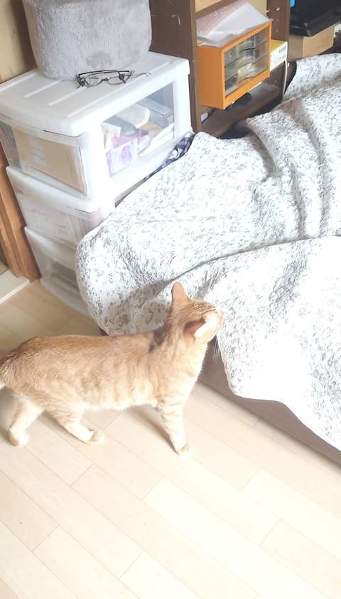 Screenshot_20251005-181937