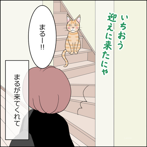 あんこ＆麦STORY2336c