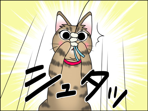 あんこ&麦STORY1472b