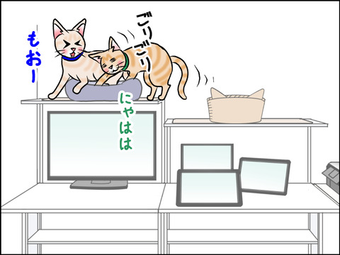 あんこ&麦STORY1565b