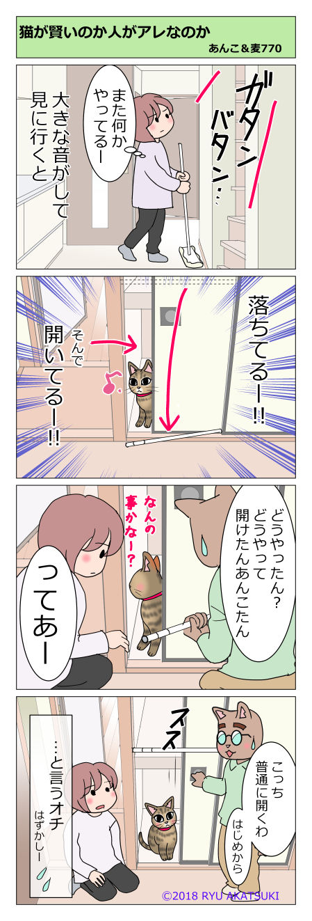 あんこ&麦STORY770
