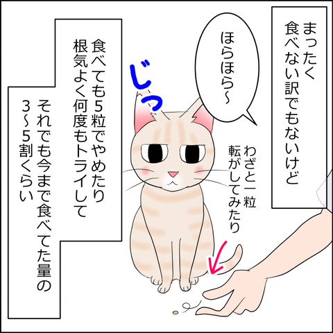 あんこ&麦kenko123b