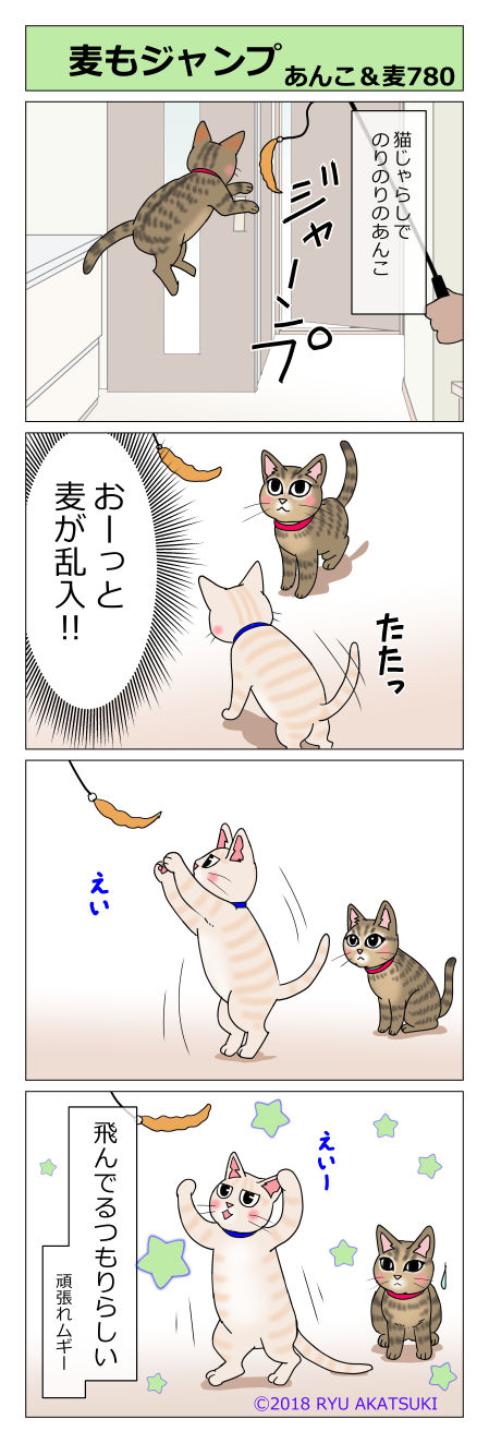 あんこ&麦STORY780