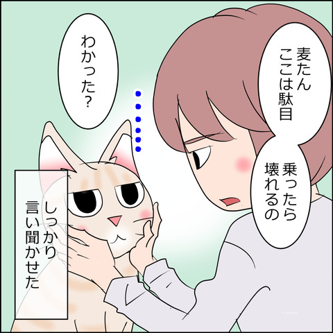 あんこ&麦STORY2377c