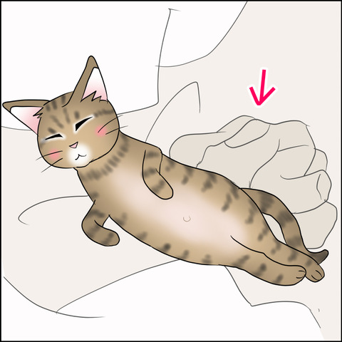 あんこ＆麦STORY2432b