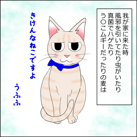 あんこ＆麦STORY2286a