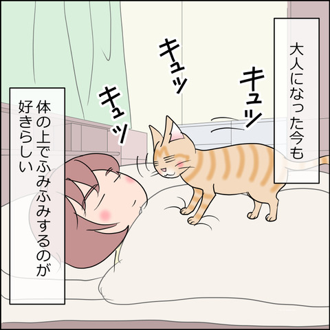 あんこ＆麦STORY2434b