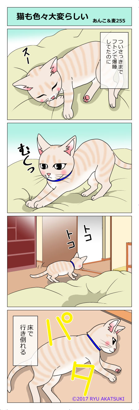 あんこ&麦STORY255