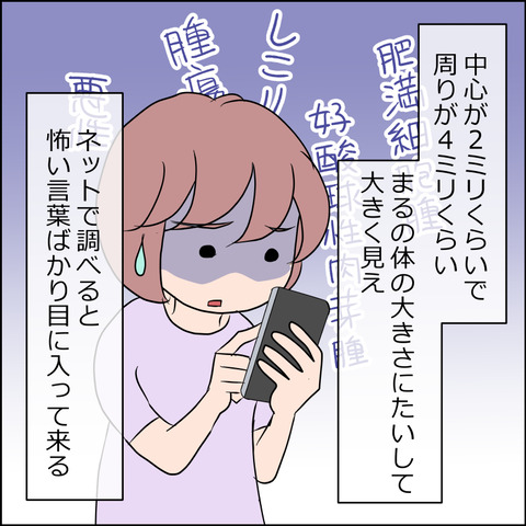 あんこ＆麦kenko51c