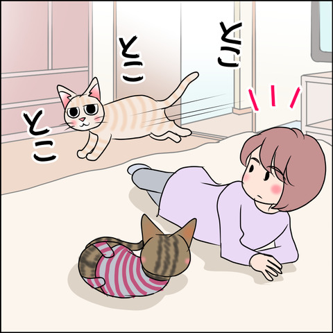 あんこ＆麦STORY1718b