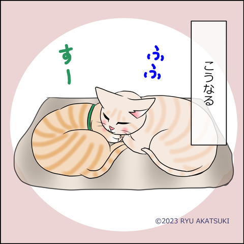 あんこ＆麦STORY1857e