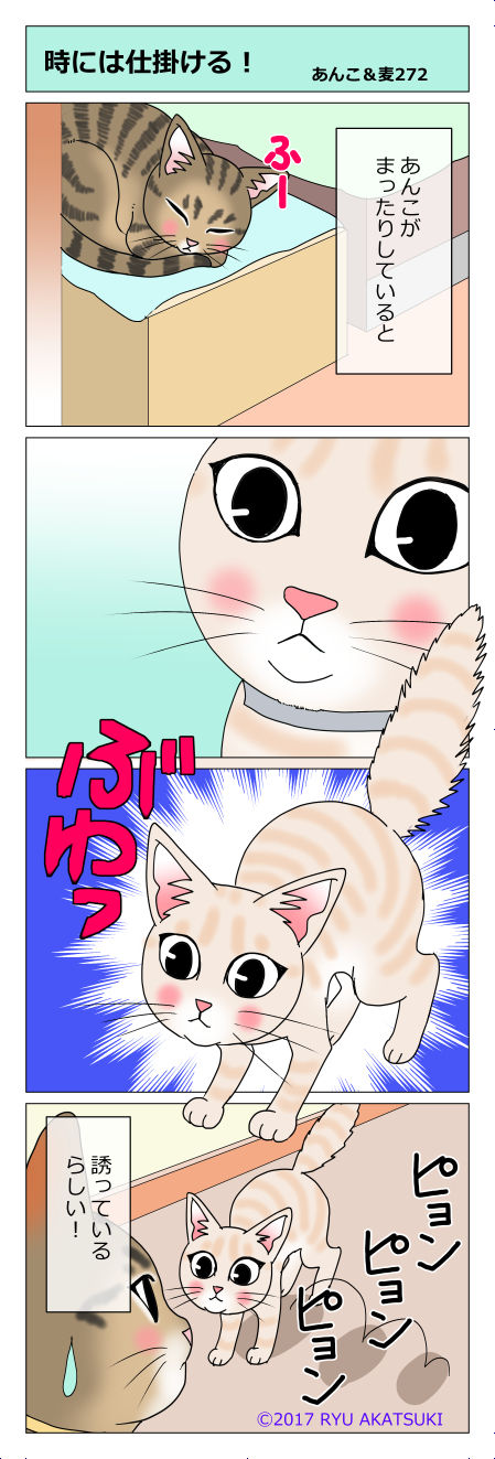 あんこ&麦STORY272