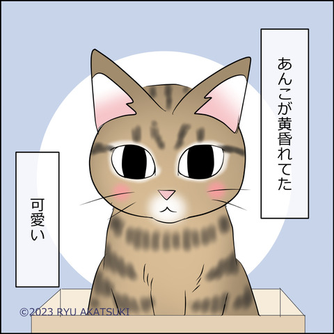 あんこ＆麦STORY2012d