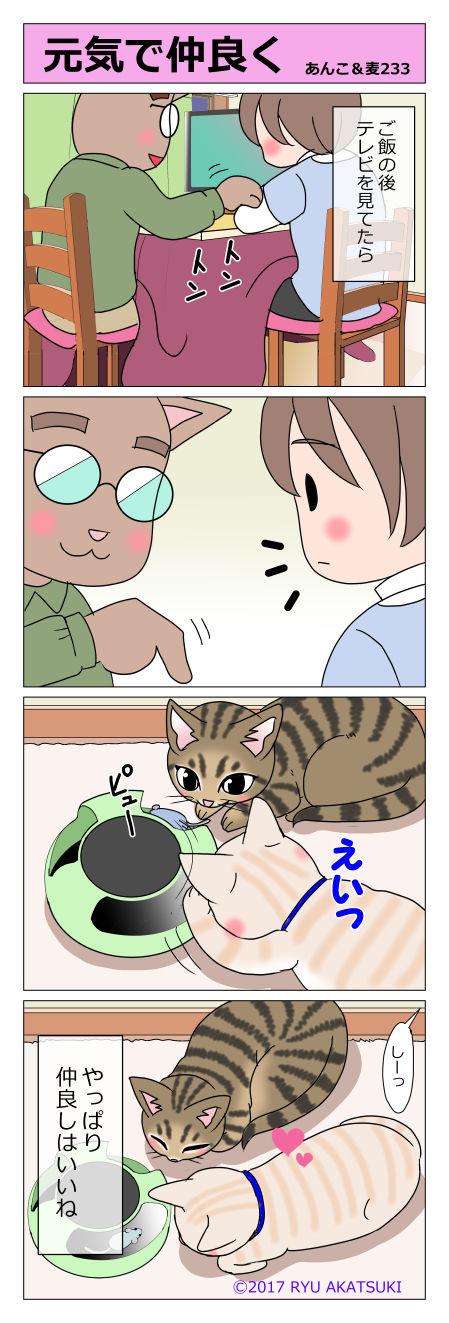 あんこ&麦STORY233