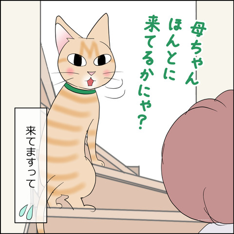 あんこ&麦STORY2333f