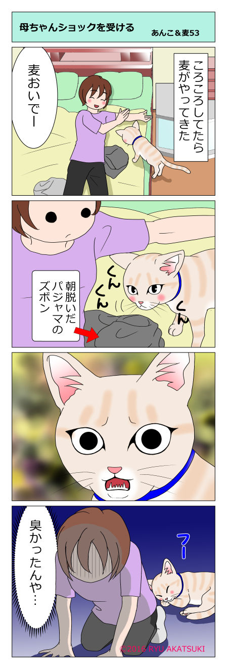 あんこ&麦STORY53