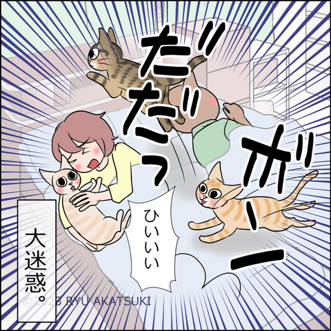 あんこ＆麦STORY1919d