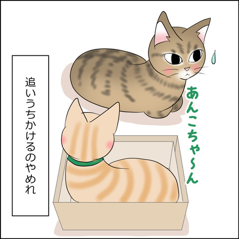 あんこ＆麦STORY2269e