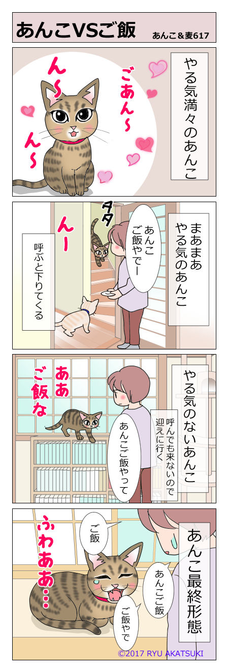あんこ&麦STORY617
