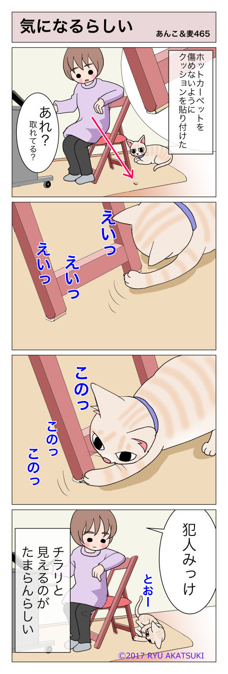 9B6BC4D7-E89E-41B4-A490-DD2A6485E3B5