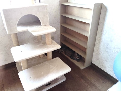 1722581998477_Original