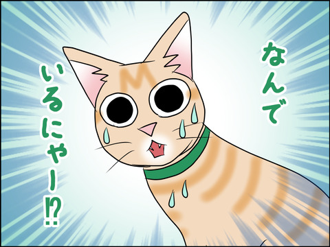 あんこ＆麦STORY1583c