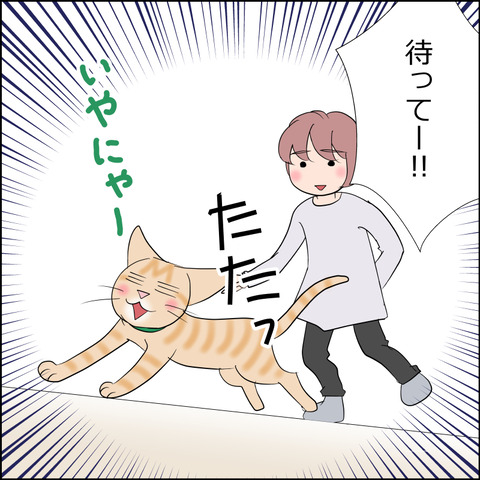 あんこ&麦STORY2191d