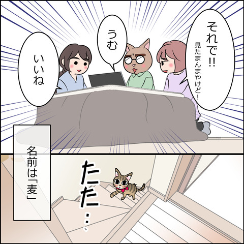 nekokita213c