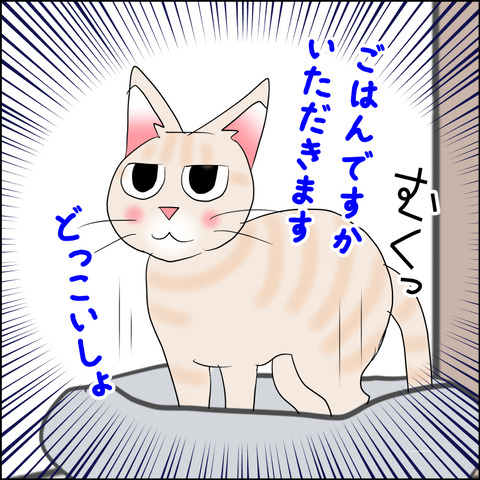 あんこ＆麦STORY2225b